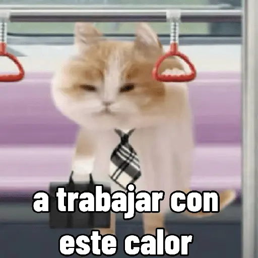 Michis con calor 🥵🥵 5