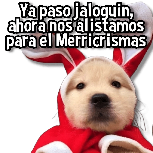 Ya paso jaloguin, ahora nos alistamos para el Merricrismas