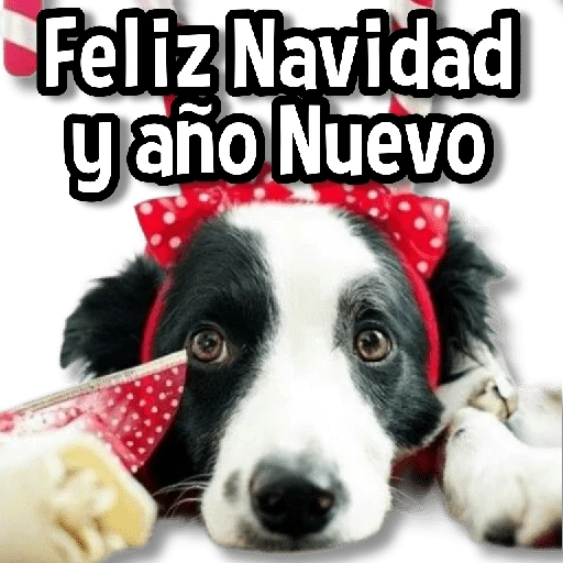 Feliz Navidad y año Nuevo