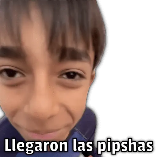 🍕•Ya Llegaron las Pipshash•🍕 7