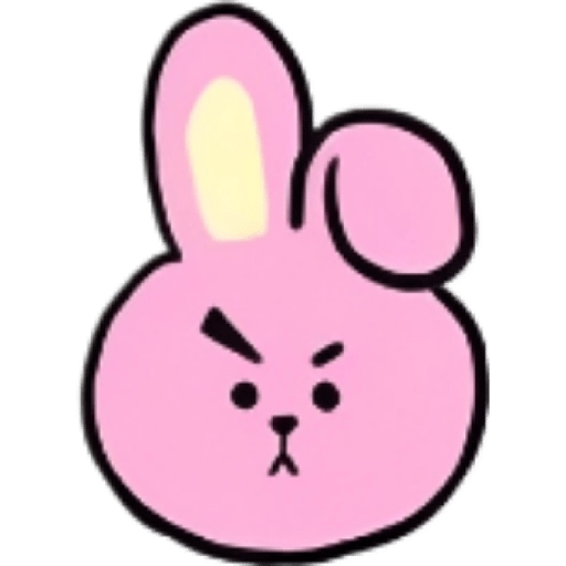 BT21 22