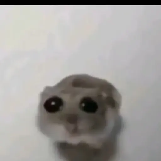 Rata triste de TikTok Meme😞🐭🐁 16