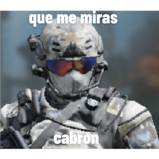 call Of Duty Mobile memes 25