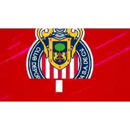 CHIVAS GUADALAJARA 15