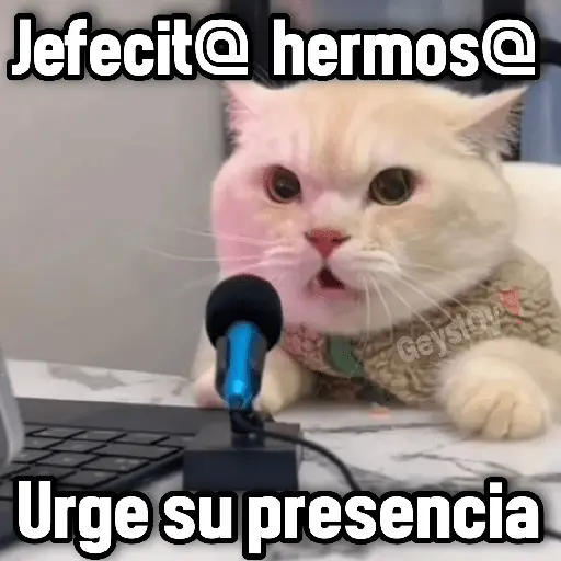 💫 conTrabajo estudio 🤣❣️ 13