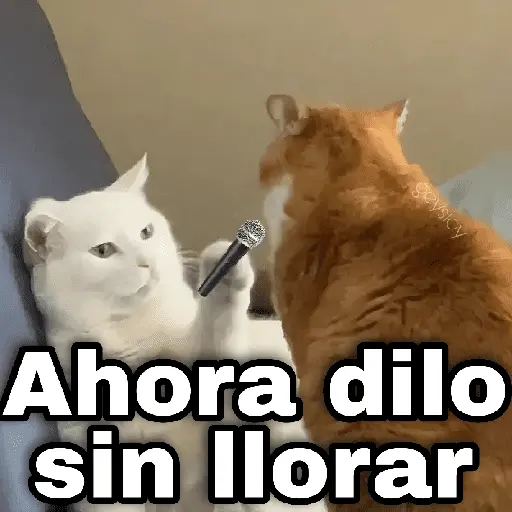✨ Memes mix 7 🔥 11