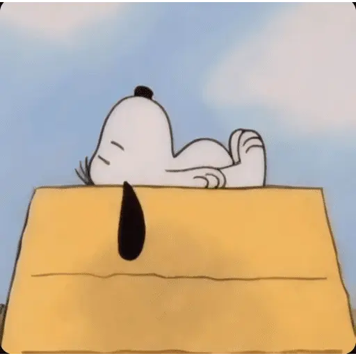 🐶 SNOOPY MOODS 🐾 14