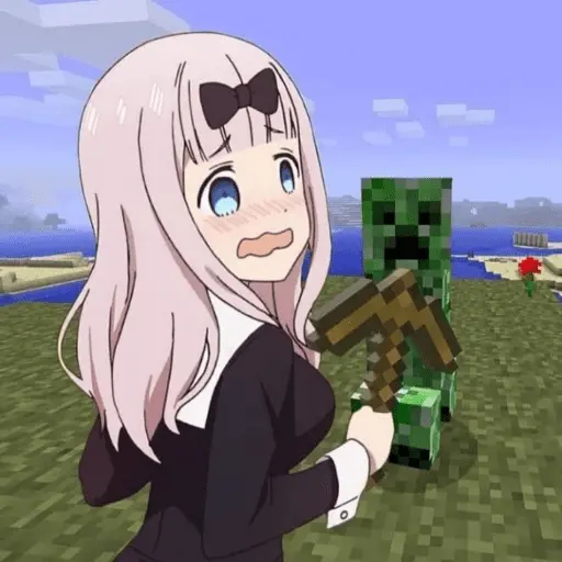 Minecraft random 👾 30