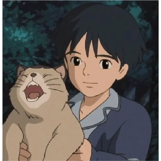 Ghibli movies.◞˚✩ 6