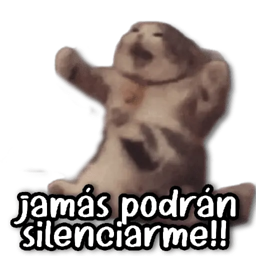 jamás podrán silenciarme!!