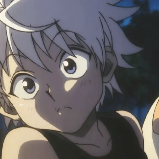 hunter x Hunter