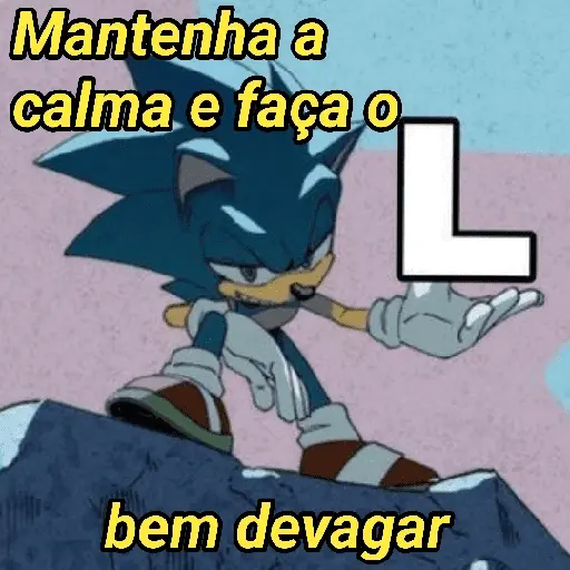 Sonic da zoeira🤪 2