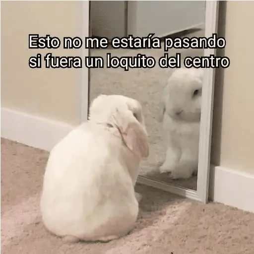 Más REACCIONES #6 🤖 2