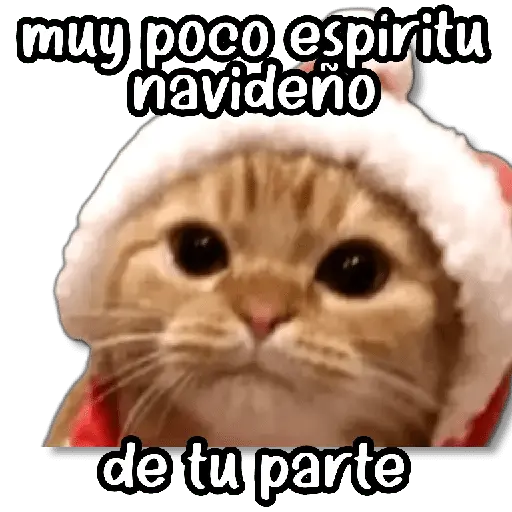 Memes Navideños #2 🎄 15