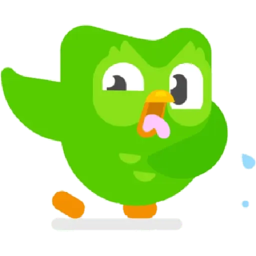 Duolingo 3