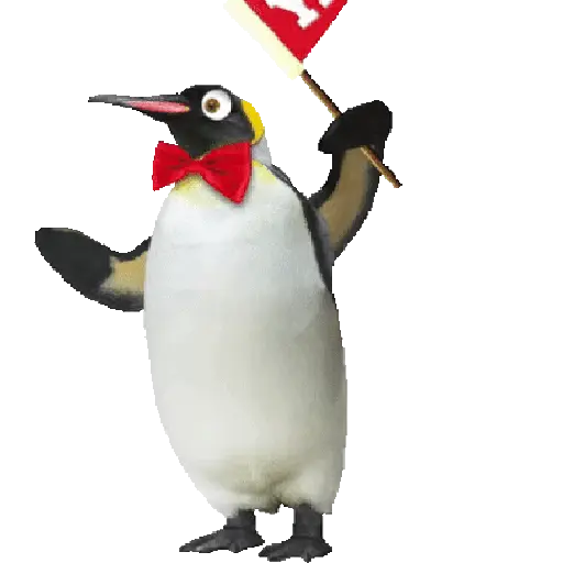 Animales Random pa contestar 💬 10