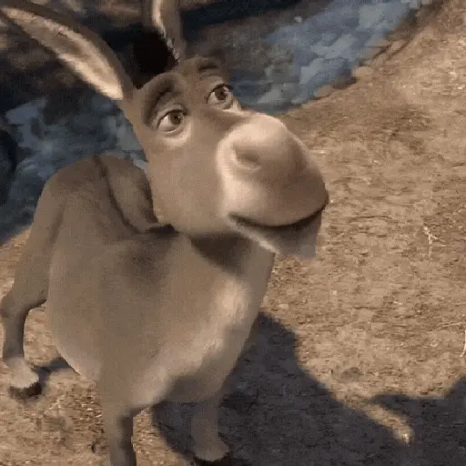 Burro 🫏 (Shrek) 10