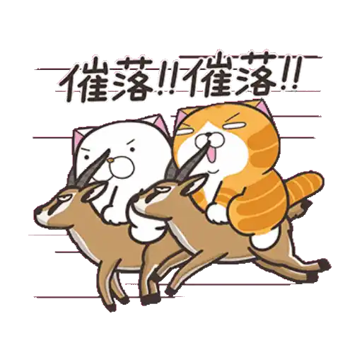 白爛貓23☆一起動☆ 4
