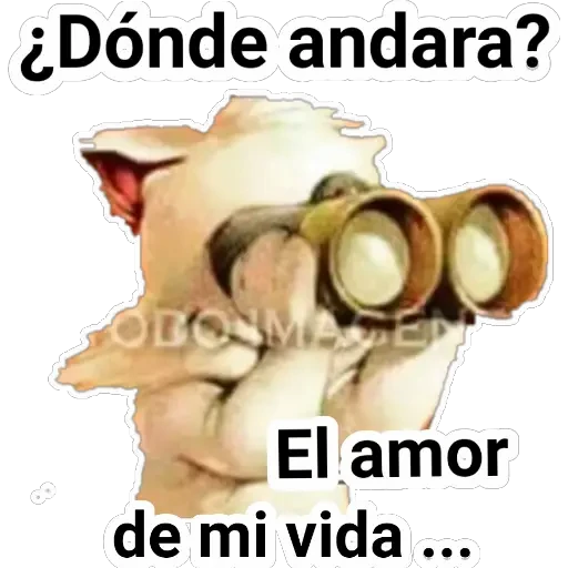 ¿Dónde andara?
00
El amor
de mi vida ...