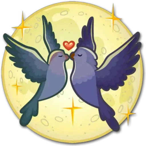 🐦Pajaros Lindos🐦  20