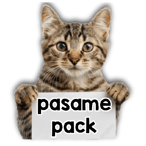 Michi mensajes gatito 🐱📩 8