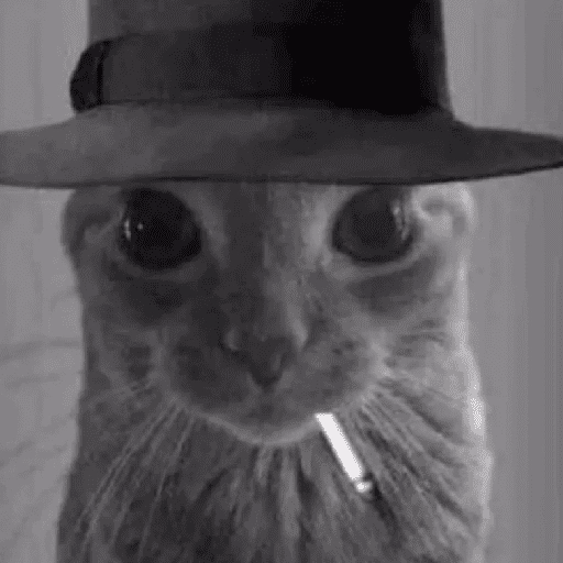 MICHIS 🥰🐱 23