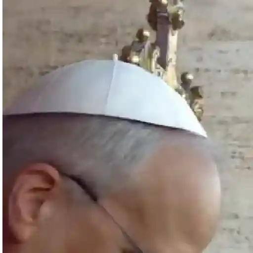 Papa león XIV 30