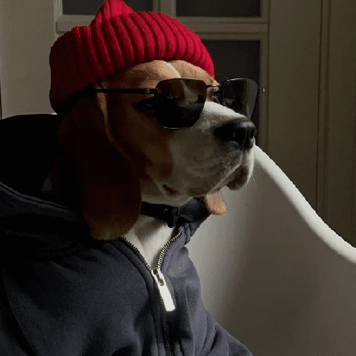 Perritos que tienen frío❄️✨ 10