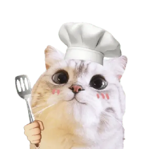 Michis random🐈🐈⬛ 4