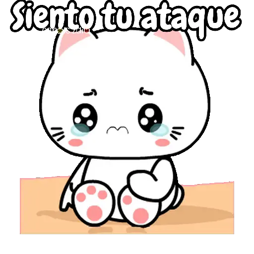 cute cats 🐱🩷🩵🐈 4