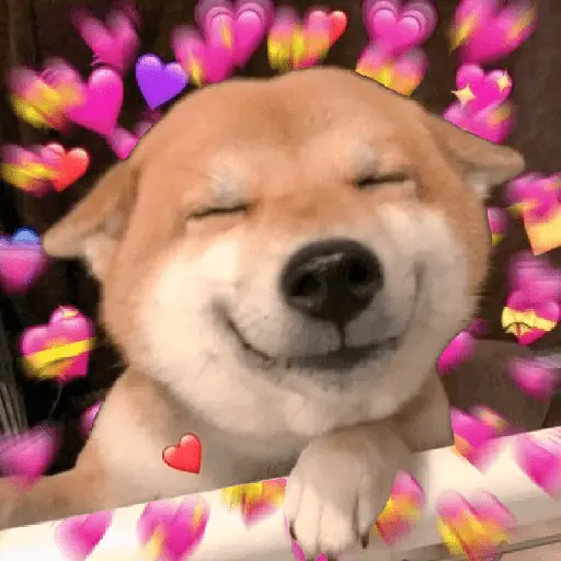 💞💖 AMOR 6 💖💞 8