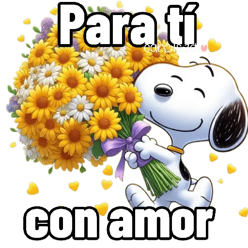 Para tí carols con amor