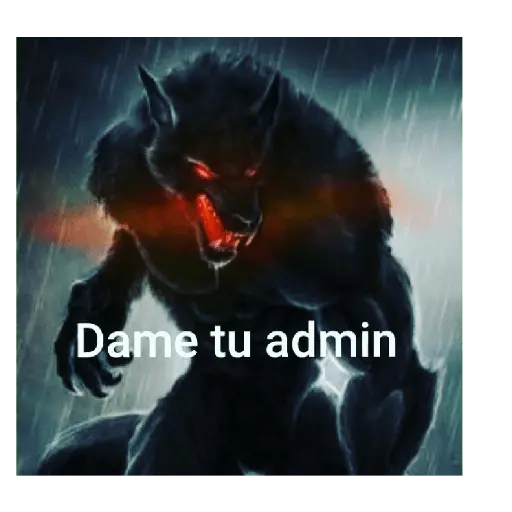 soy admin 11