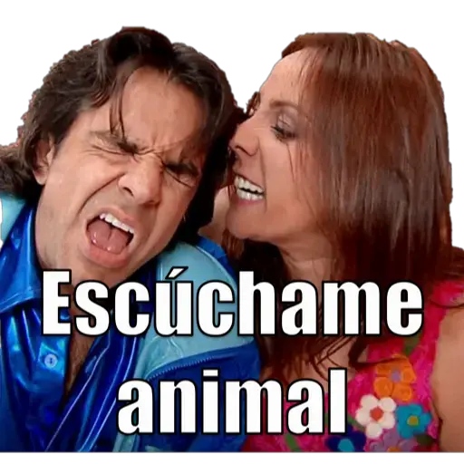 familia peluche 8