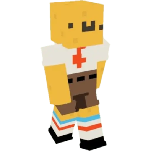 Minecraft 29
