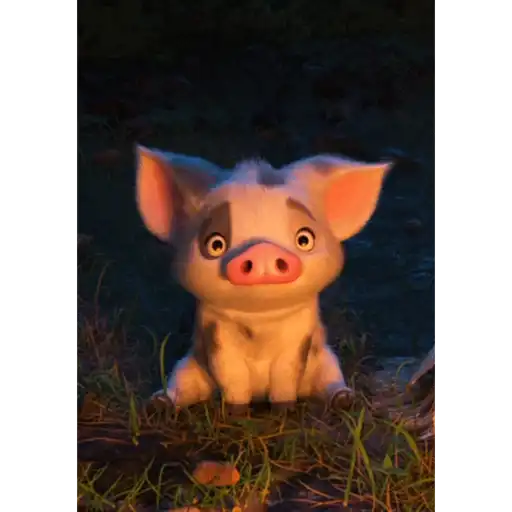 moana 12