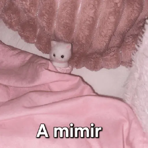 Ternurines pa tu vida 🐰🍓 6
