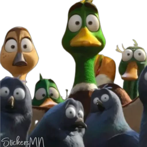 Migration 🦆💕 9