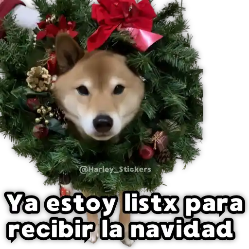Perritos Navideños 4