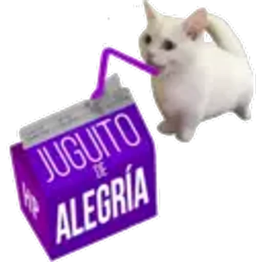4.14 Bebida 13