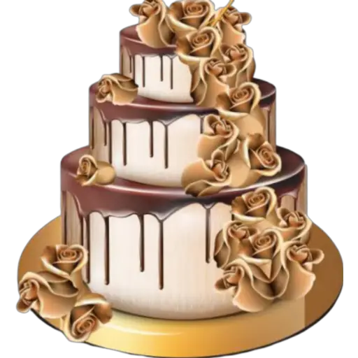 معجنات 28
