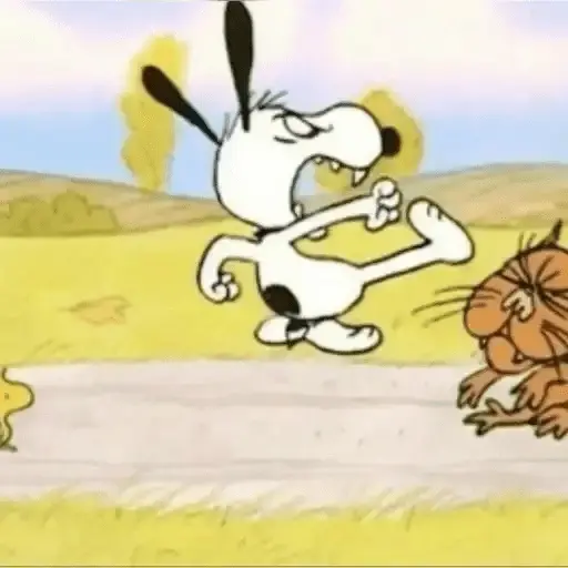 🐾Snoopy enojado 😡 3 🦴 27