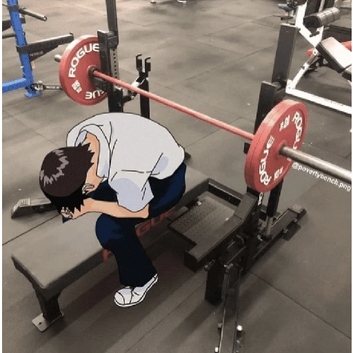 ROGUE am GU povertybench.png