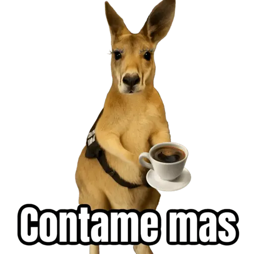 🦘Memes canguro 🦘😂 9