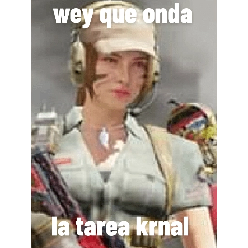 call Of Duty Mobile memes 5