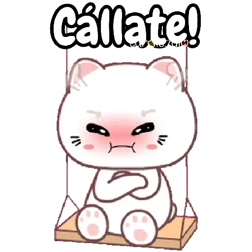 cute cats 🐱🩷🩵🐈 10