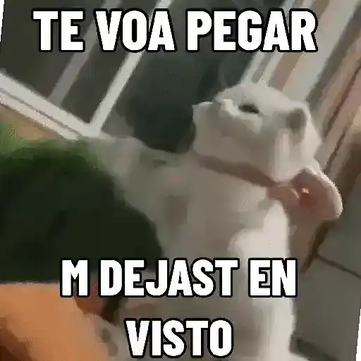 NO ME DEJES EN VISTO ✔️✔️😾 13