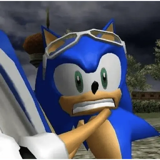 sonic expression meme 💙😼 23