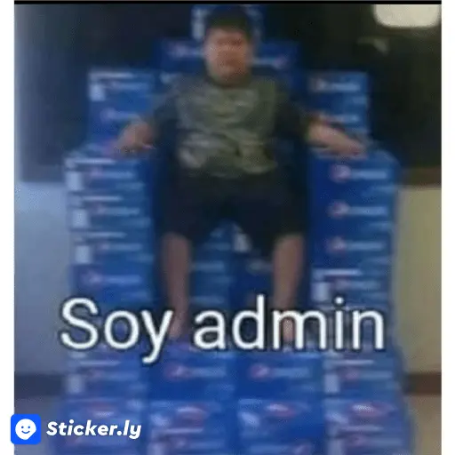 soy admin 16