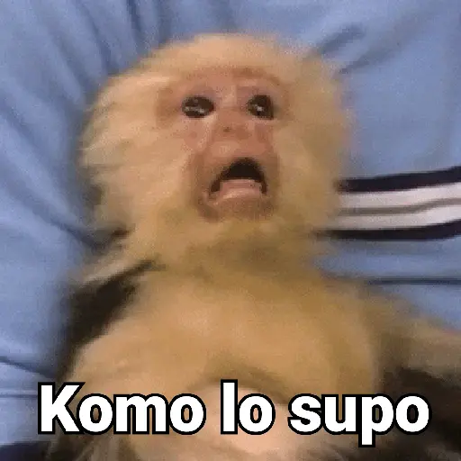 Komo lo supo